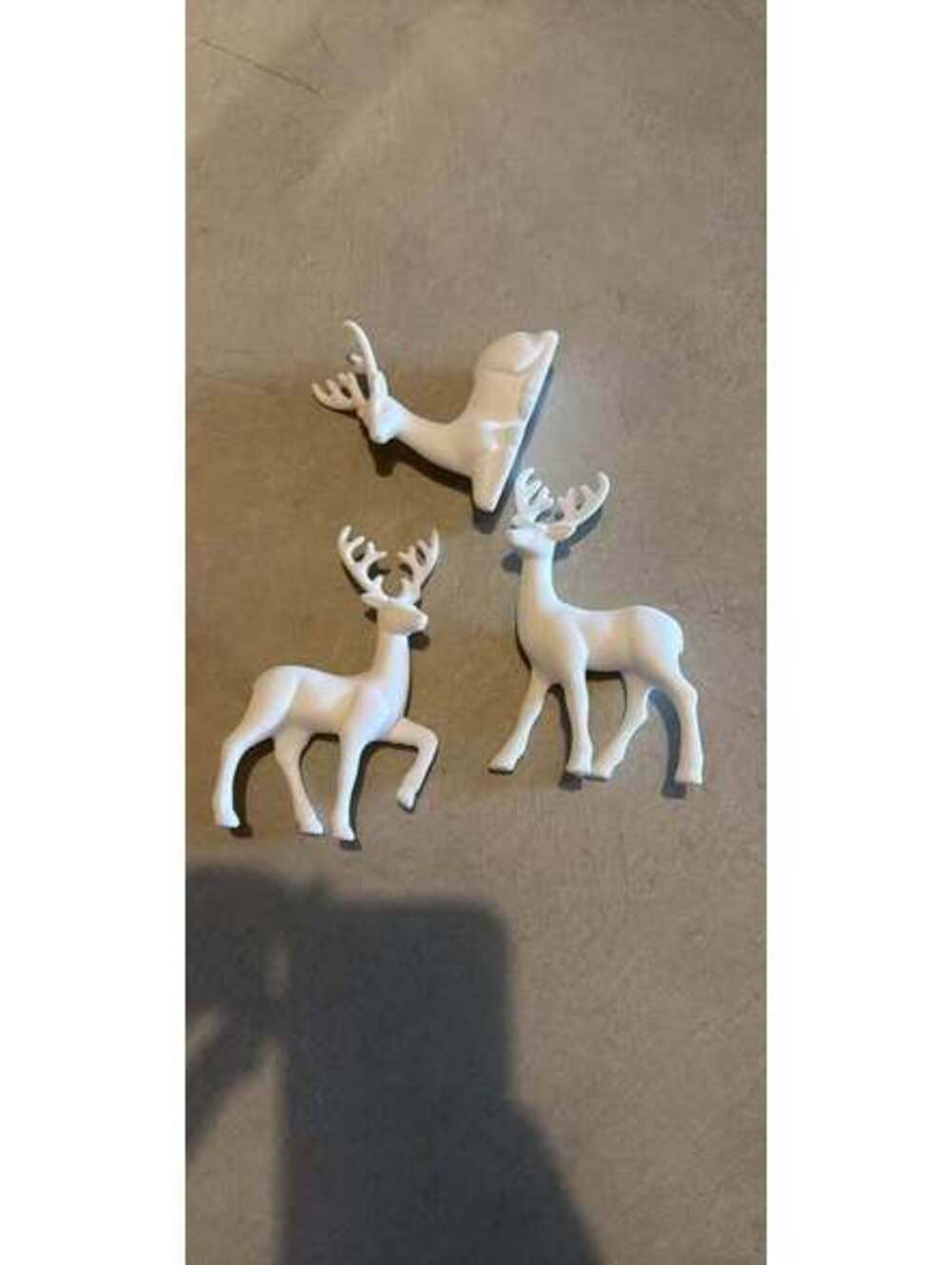 Small white reindeer